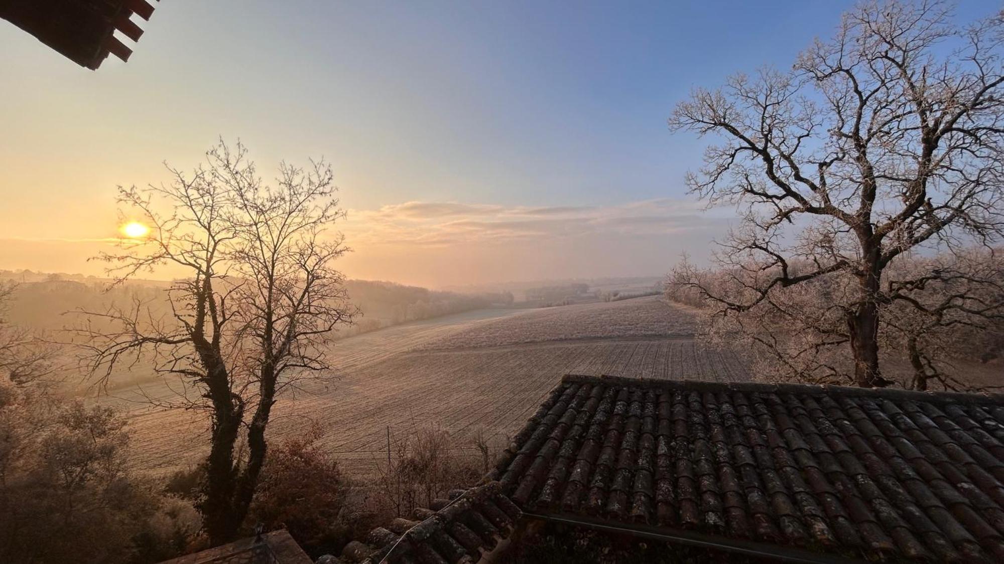 Chambres D'Hotes Dans Un Chateau Au Coeur De La Toscane Occitane Albi-Cordes-Rabastens Senouillac Exterior foto